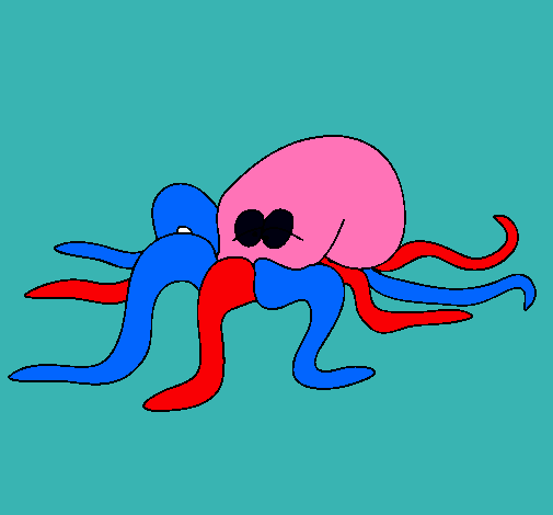 Pulpo