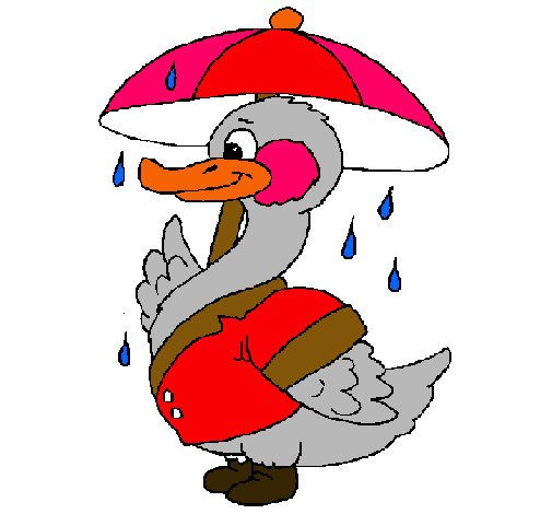 Pato bajo la lluvia