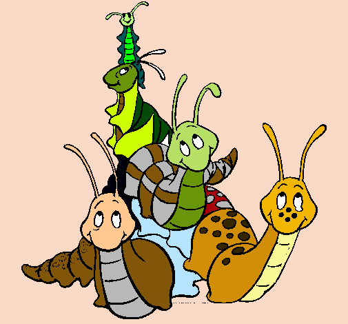 Grupo de insectos