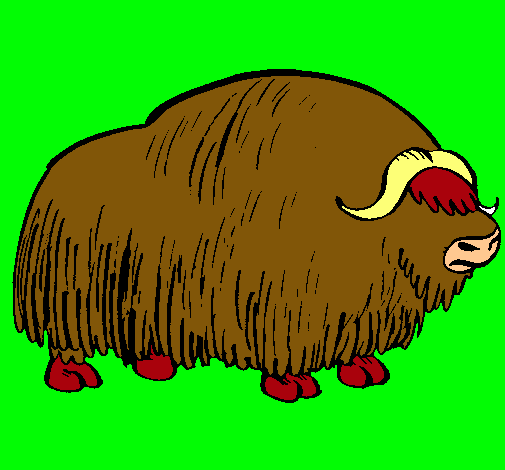 Bisonte