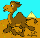 Dibujo Camello pintado por andrea_1399