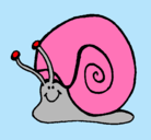 Dibujo Caracol  pintado por yosef