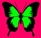 Dibujo Mariposa con alas negras pintado por marimosa