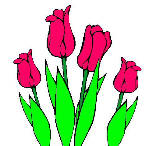 Tulipanes