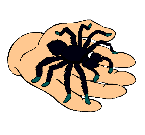 Tarántula