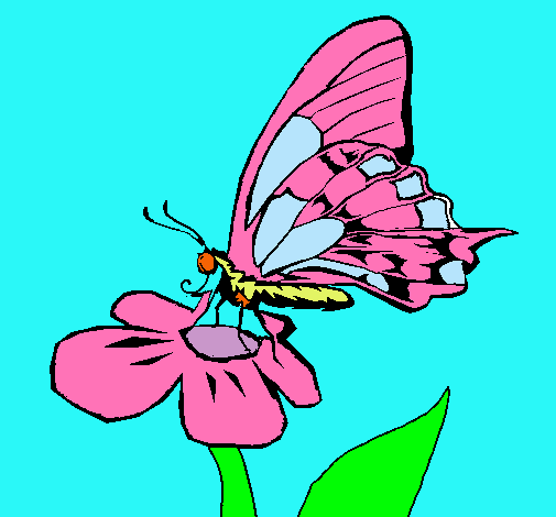 Mariposa en flor