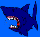 Dibujo Tiburón pintado por agila5