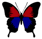 Dibujo Mariposa con alas negras pintado por nombre