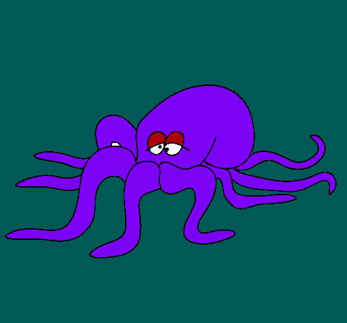 Pulpo