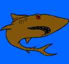 Dibujo Tiburón pintado por villegas