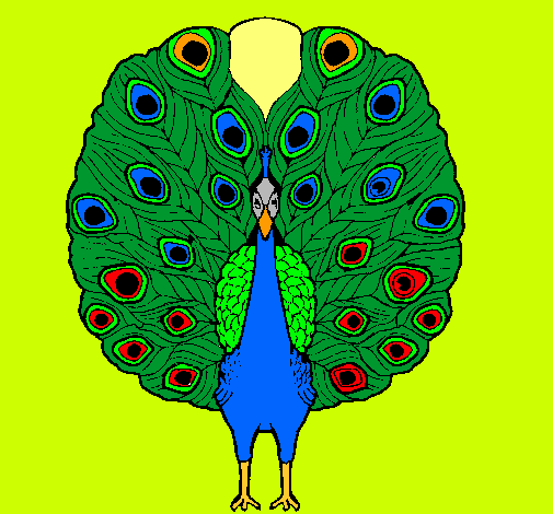 Pavo real