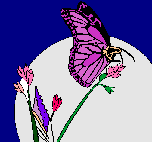 Dibujo Mariposa en una rama pintado por TaniaAlejandraa
