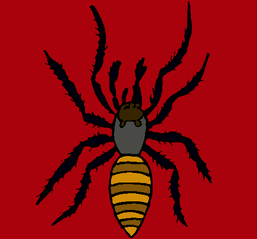 Araña tigre