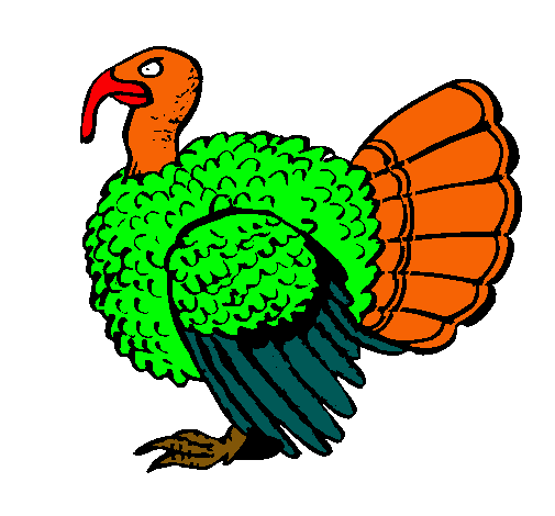 Pavo 