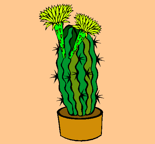 Cactus con flores