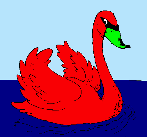 Cisne en el agua