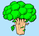 Dibujo Brócoli pintado por fernii