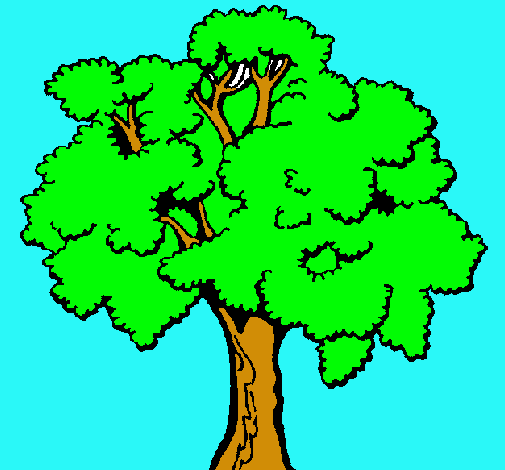 Árbol