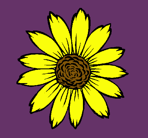 Girasol