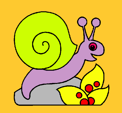 Caracol