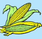 Dibujo Mazorca de maíz pintado por DENISA
