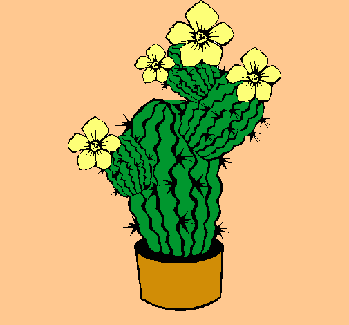 Flores de cactus