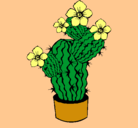 Dibujo Flores de cactus pintado por mmmm