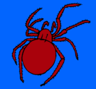 Dibujo Araña venenosa pintado por chuki