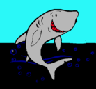 Dibujo Tiburón pintado por chuito