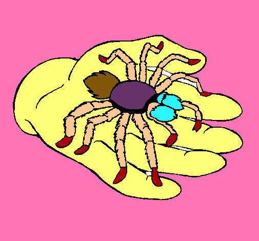 Tarántula