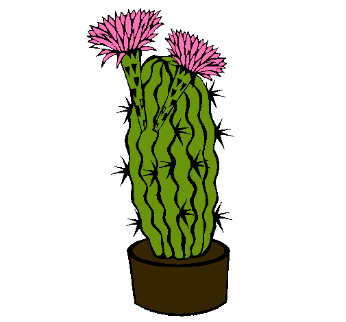 Cactus con flores