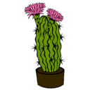 Dibujo Cactus con flores pintado por LOURDESJR