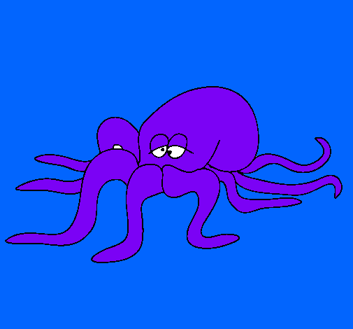 Pulpo