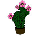 Dibujo Flores de cactus pintado por LOURDESJR