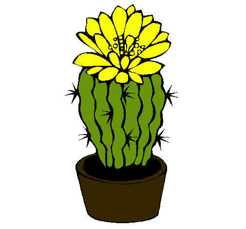 Cactus con flor