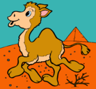 Dibujo Camello pintado por Dromedario