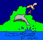 Dibujo Delfín y gaviota pintado por bunewi