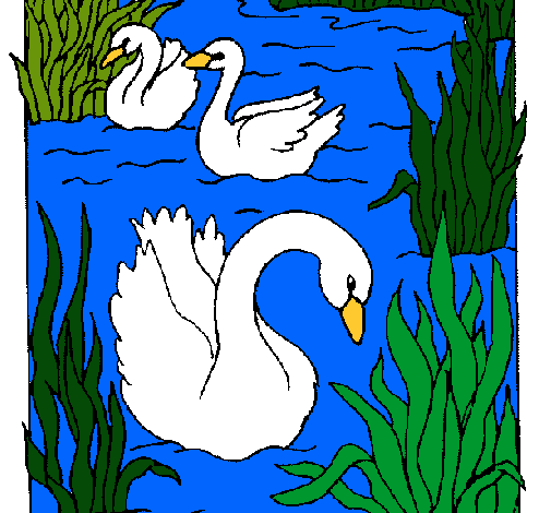 Cisnes