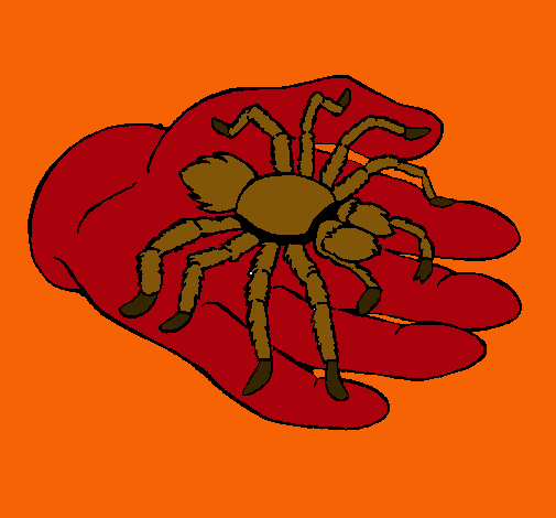 Tarántula