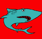 Dibujo Tiburón pintado por brian