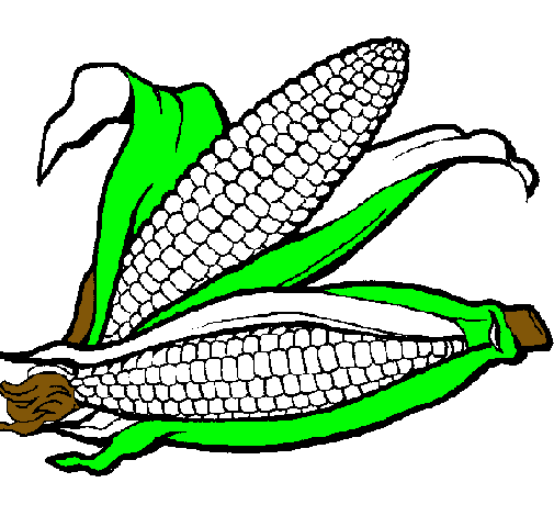 Dibujo Mazorca de maíz pintado por Lourdes_Mendoza