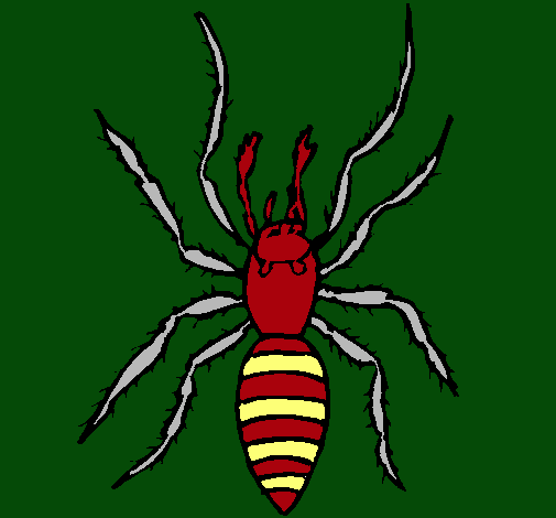 Araña tigre