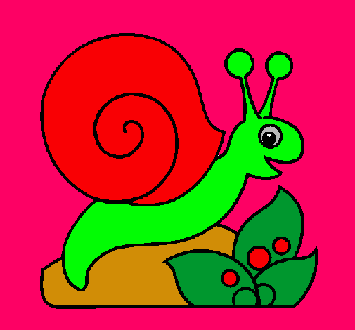 Caracol