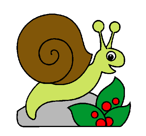 Caracol