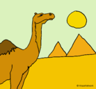 Dibujo Camello pintado por Placocha