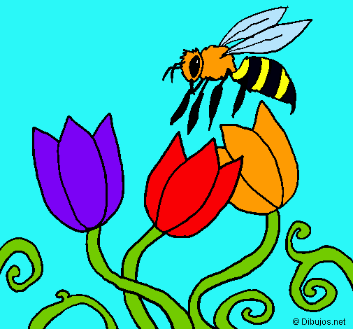 Abeja