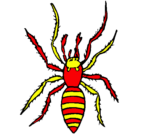 Araña tigre