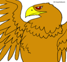 Dibujo Águila Imperial Romana pintado por jhncjhdfjjfh