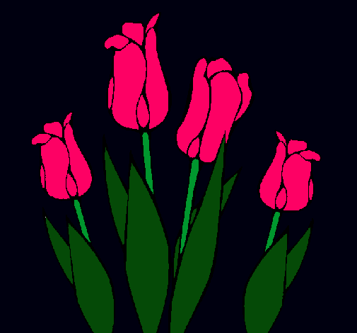 Tulipanes