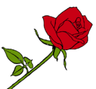 Dibujo Rosa pintado por corazoncito